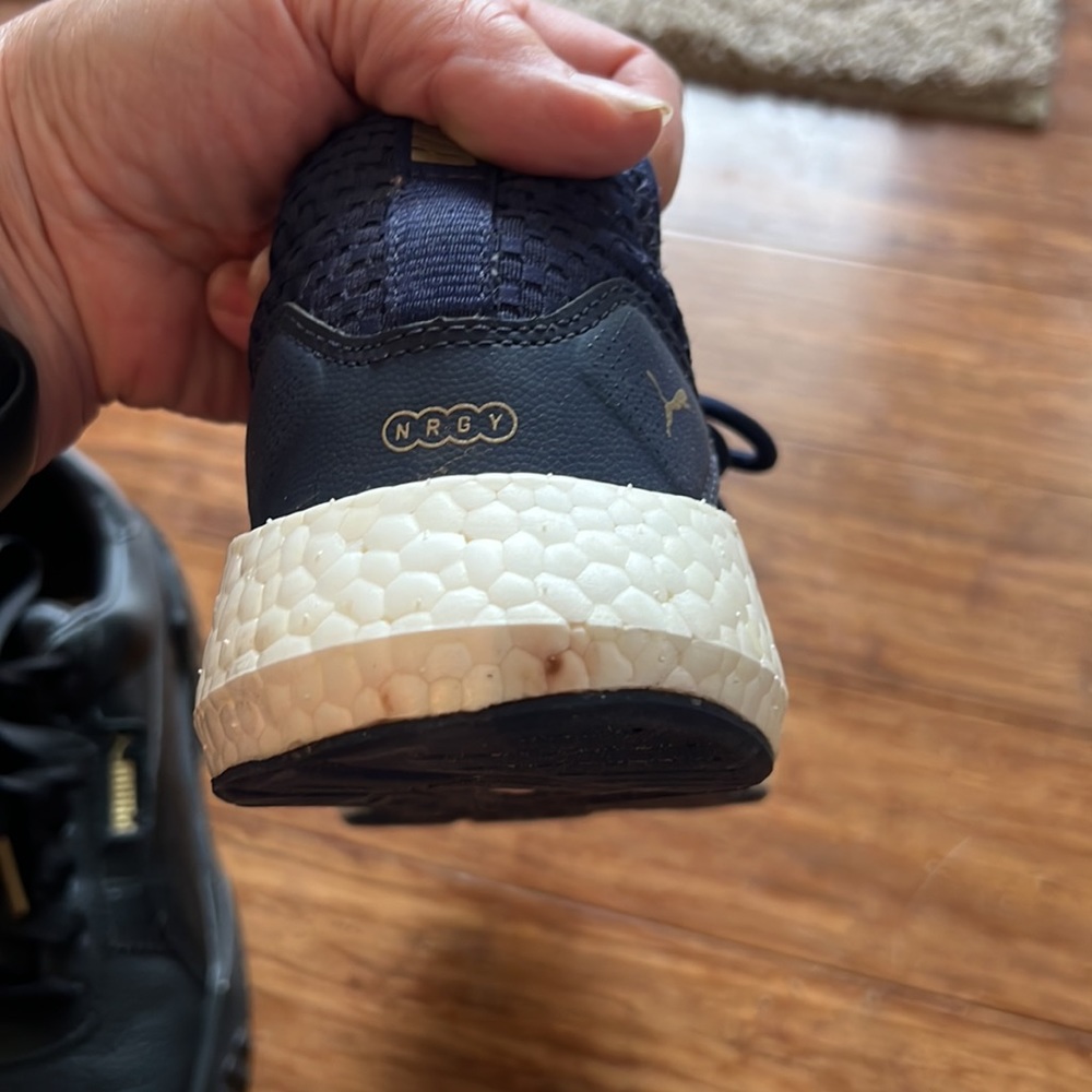 Pumas - Picture 10 of 10